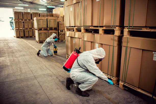 Best Commercial Pest Control Services  in Alum Creek, WV