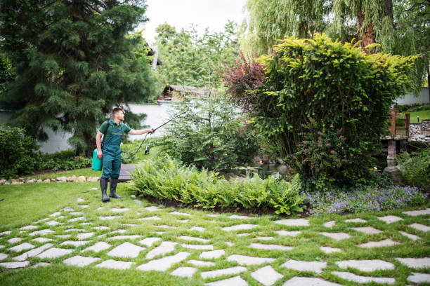 Best Commercial Pest Control Services  in Alum Creek, WV