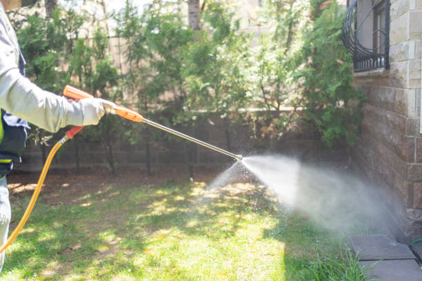 Best Residential Pest Control  in Alum Creek, WV