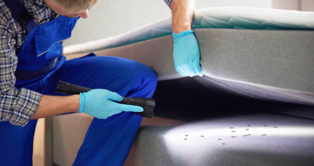 Best Flea Control Services  in Alum Creek, WV