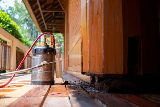 Best Pest Control for Homes  in Alum Creek, WV